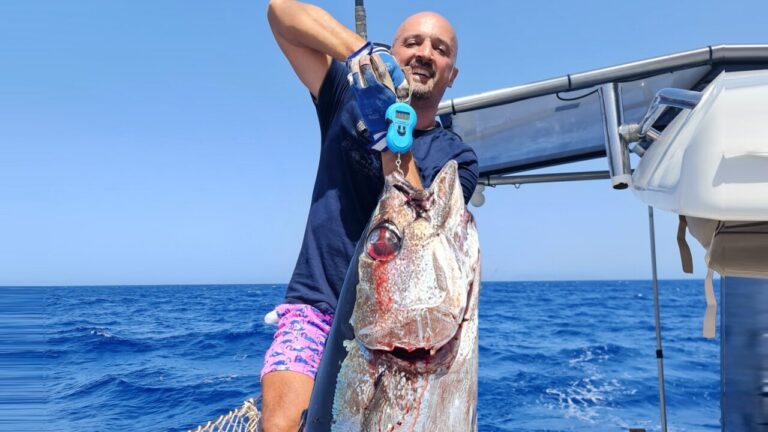 seamlessly_extended_thumbnail